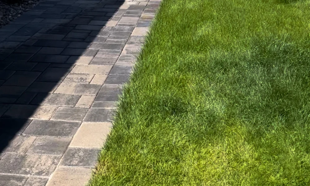 TJ Landscape Phoenix project